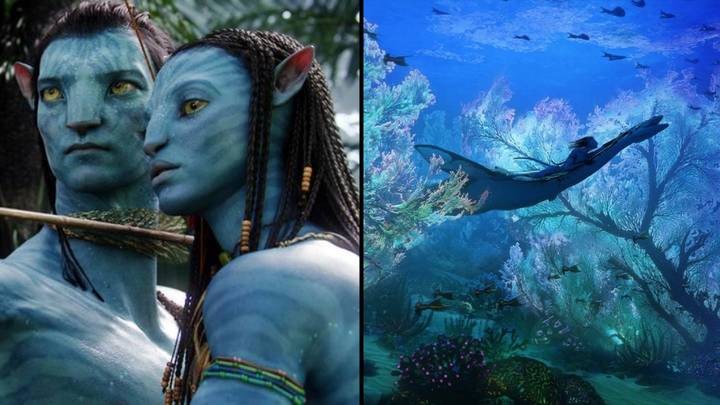 Avatar 2 Dòng chảy của nước 2022  Toomvacom